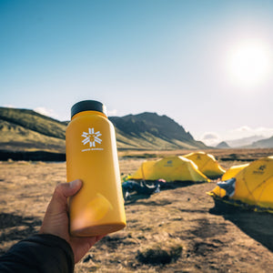Traveler 1L