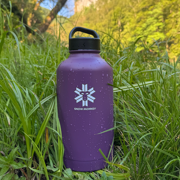 Voyager 2L