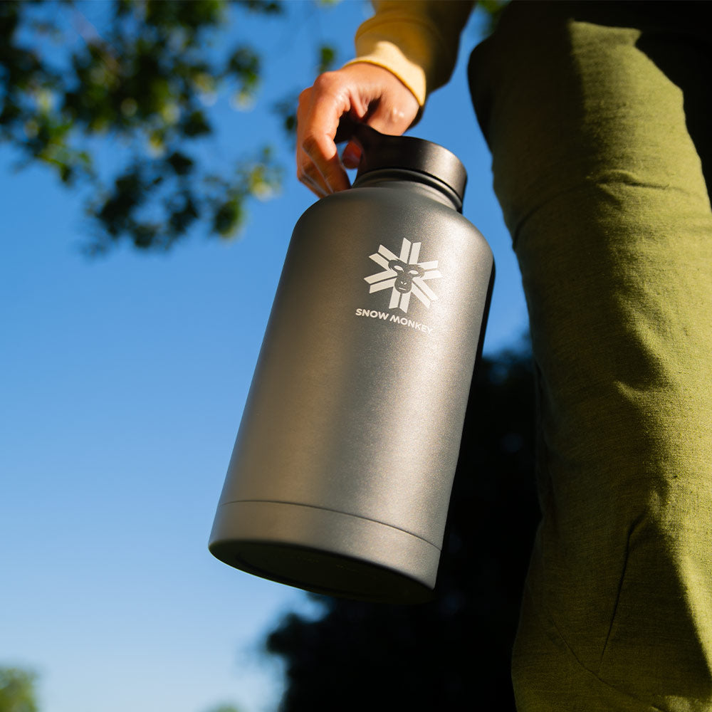 Voyager 2 L
