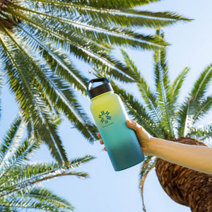 Freezie + Traveler SUMMER EDITION